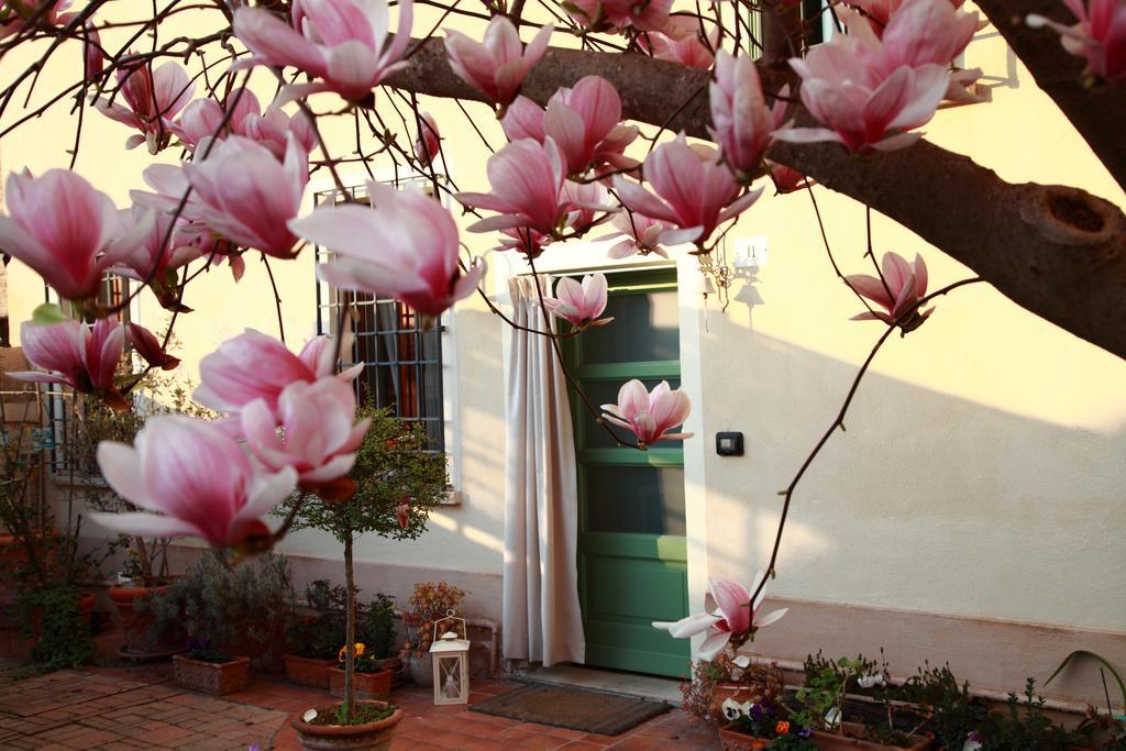 B&B La Magnolia Ostiglia Luaran gambar